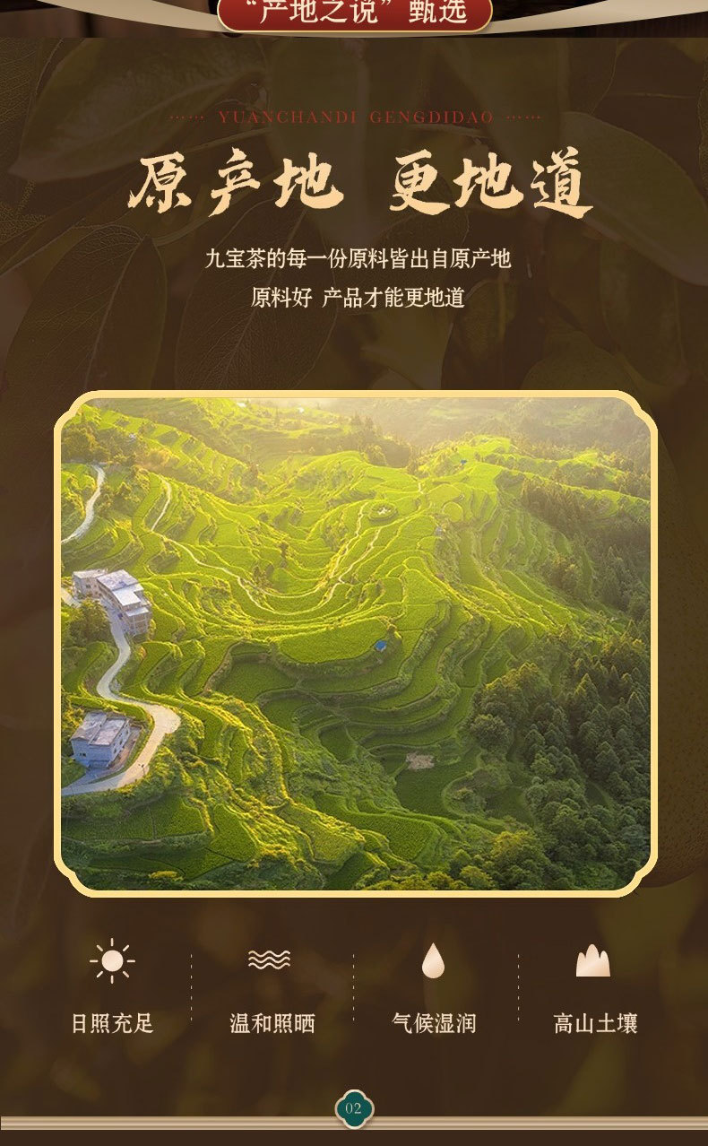 Ginseng Nine Treasure Tea Ren Shen Jiu Bao Cha Herbal Blend 22g x 8 Bags Sugar Free Hot Brew Wellness Tea quality and texture