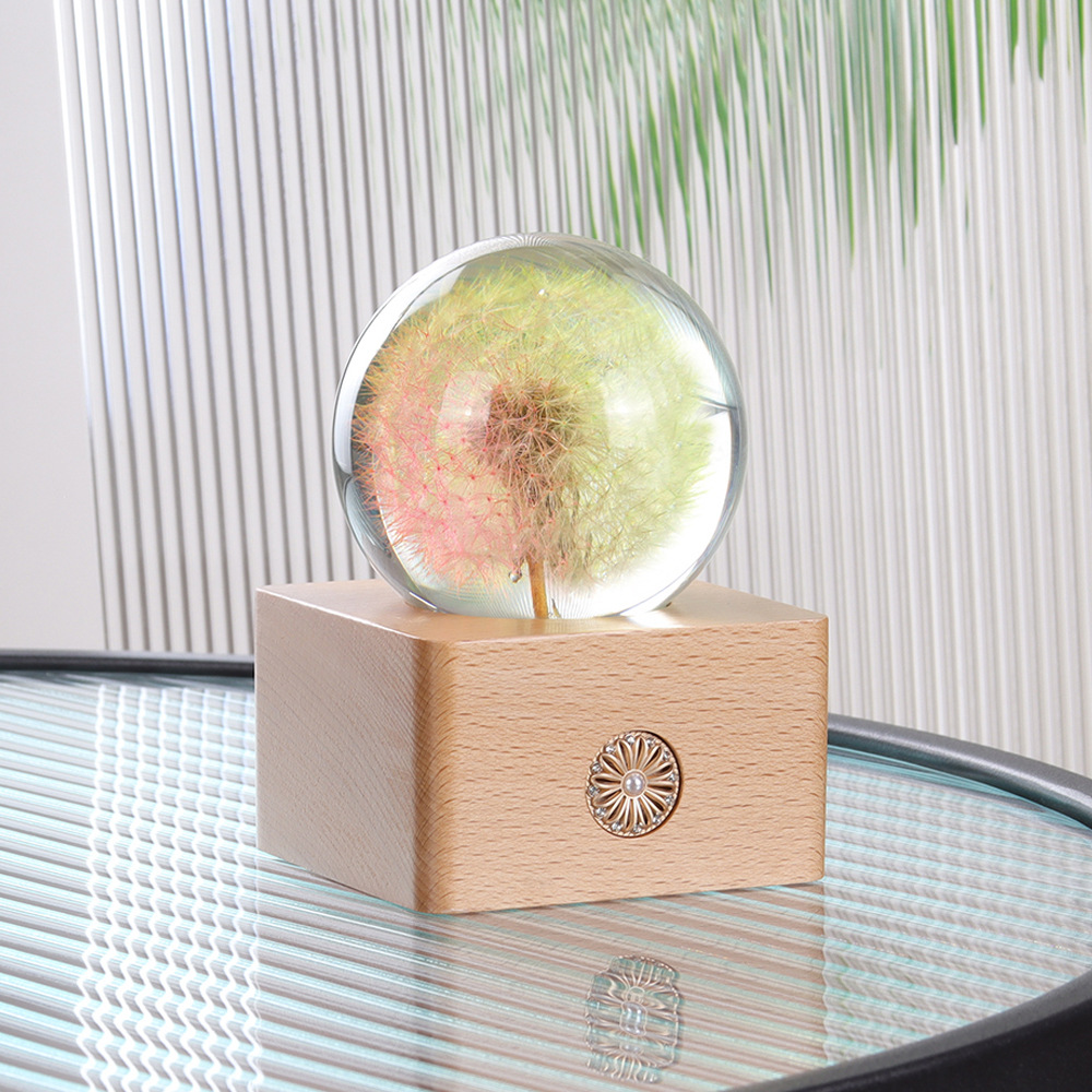 Dandelion Dried Flower Crystal Ball Transparent Resin Crafts Souvenir Practical Gift Night Light Home Decoration
