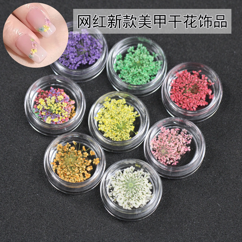 Ins Monet Garden Oil Painting Color Scheme Small Flower Nail Art Japanese Style Dried Flower Mixed Floral DIY Fresh Nail Decorations Ins Monet Garden Oil Painting Color Scheme Small Flower Nail Art Japanese Style Dried Flower Mixed Floral DIY Fresh Nail Decorations