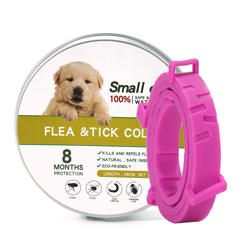 흰색 상자 짧은 분홍색 칼라