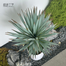 ɳĮ�Gֲ ���������m���� �쾰ֲ���҃Ⱦ��^�����T������b�����