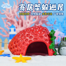 寄居蟹躲避窝屋宠物造景大号小号菠萝屋天然躲避造景草莓比奇堡