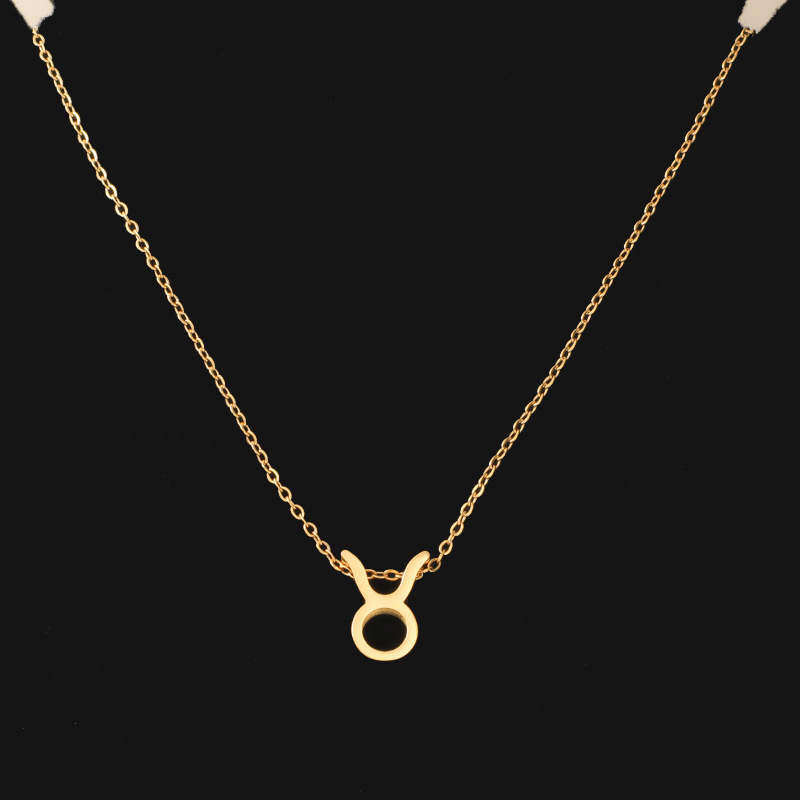 Fashion Constellation Titanium Steel Handmade Pendant Necklace 1 Piece