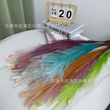 �߲���ë�Pβ��ȸ�ݻ�c���滨���l��cë��·���b���ë