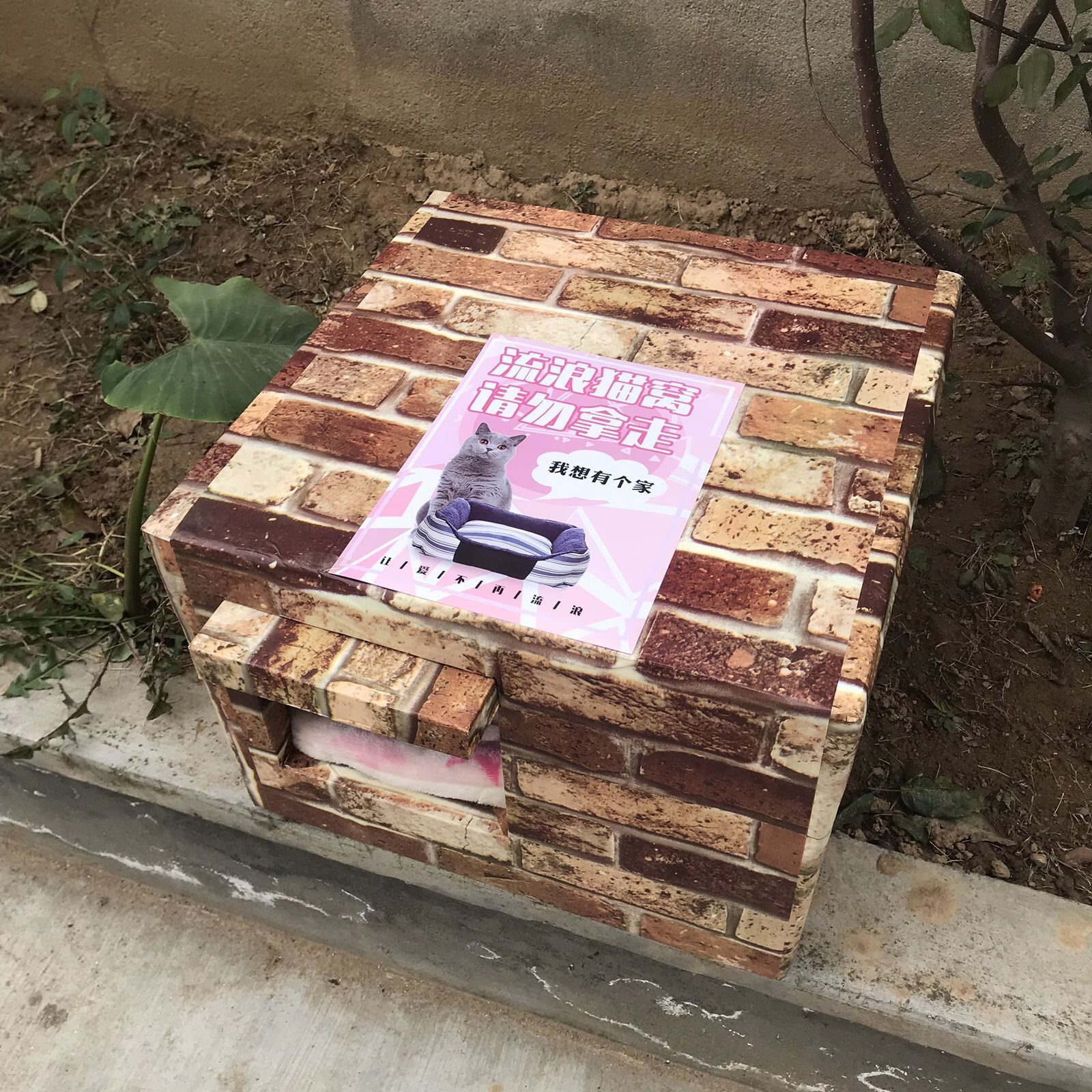 두꺼운 고양이 패드가 있는 복고풍 빨간색 사각형 구멍(문 처마 포함)