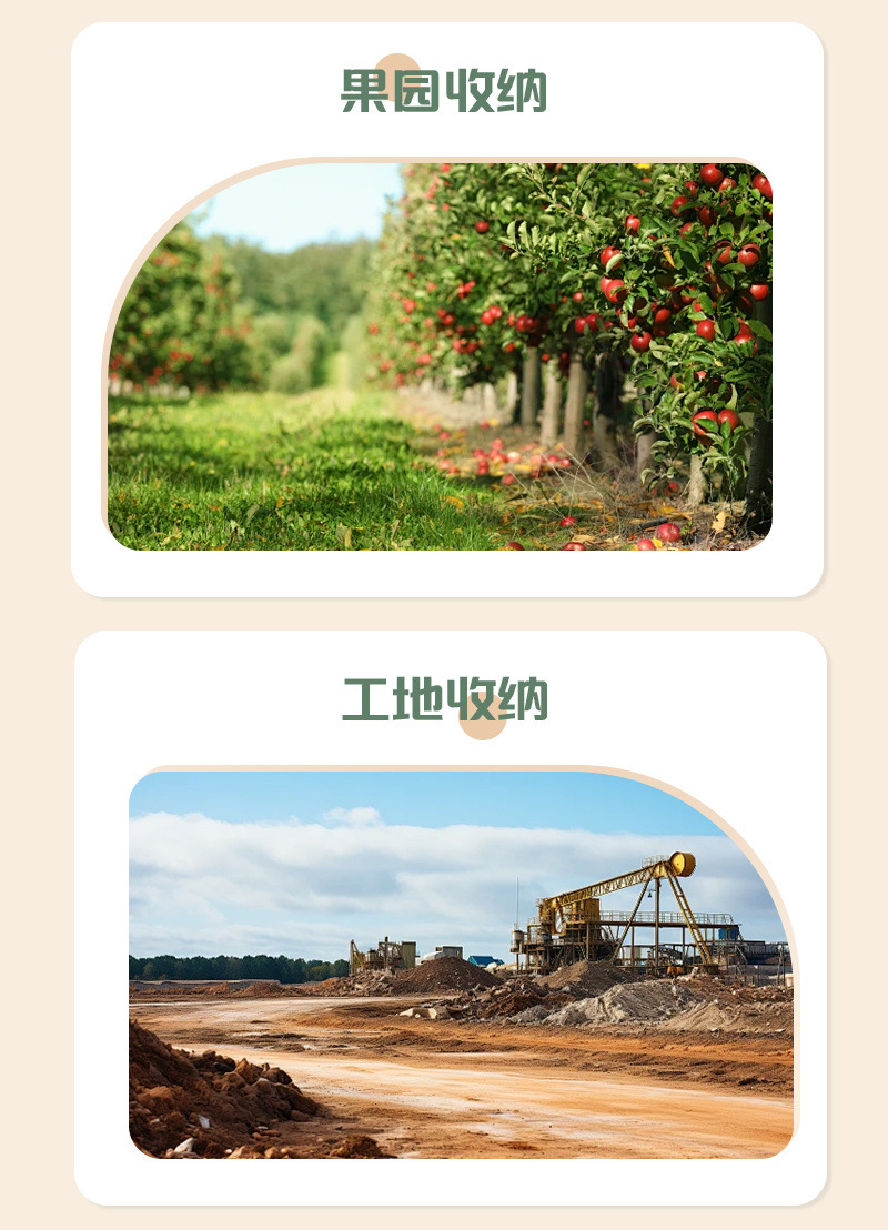 53c4225e-f515-47df-ab75-c0a8a4cd874e.jpe