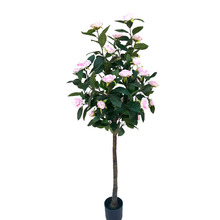 ��������ĵ�����Gֲ������҃ȿ͏d�b�������ԏS�����l��ĵ����