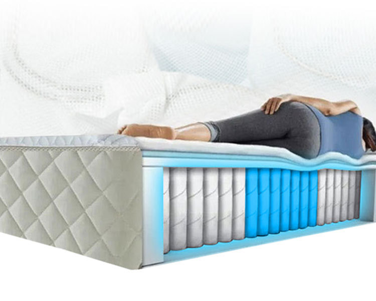 O1CN019Skeh62KJ5Kg2PD1Z_!!966669535-0-cib.jpg?__r__=1686299340086