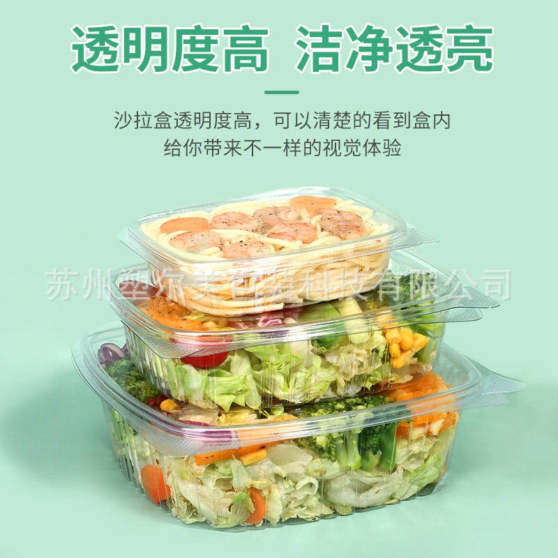 Foreign trade special disposable salad box PET plastic one-piece square packing box fruit box cold lunch box vegetable box