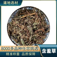 ��ș�����l ���߲� �t���o  ���߲� ���߲� �Б��� ֧��ș�z