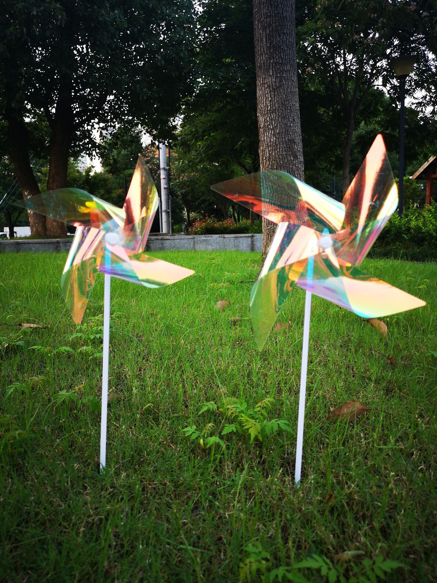 QQ图片20210613113550