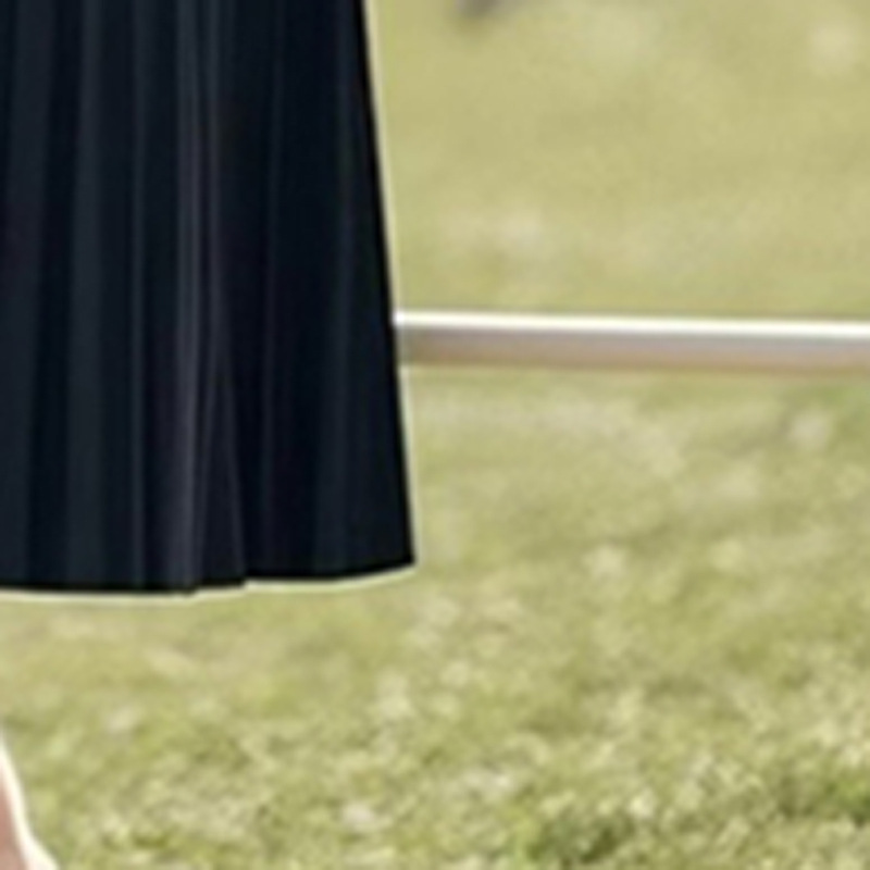 今年流行的知性套装裙女2025秋季新款polo领上衣百褶半身裙两件套|undefined