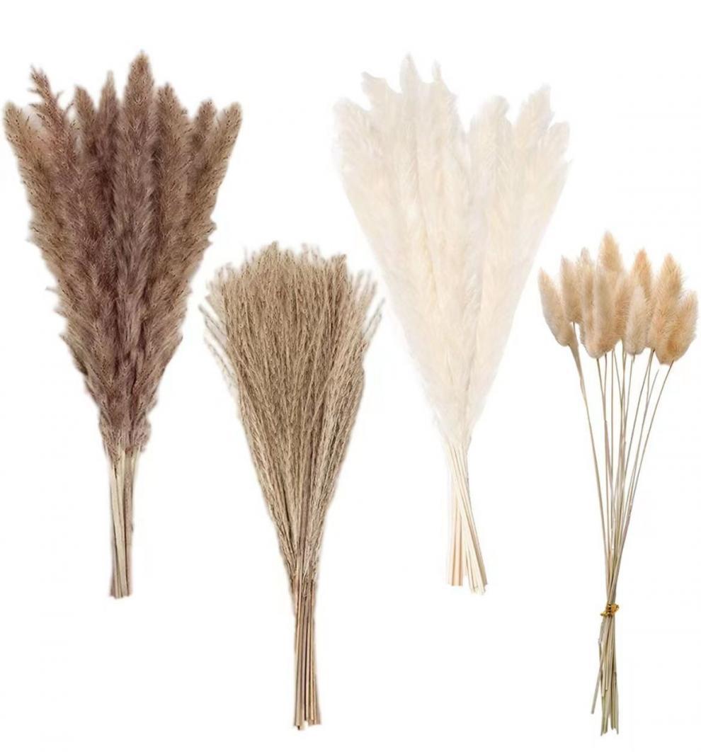 05683b8e-065f-4126-8ff1-c36e2795f6a6.jpe