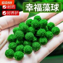 �R��Ī������΢���^���Bƿ�~���҃�����ˮ����������ֲ��ˮ������