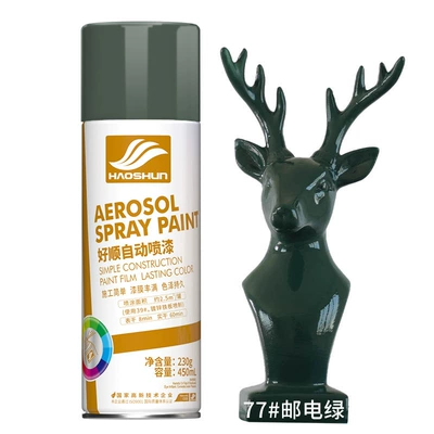 Haoshun automatic painting hand-cranked Avtomobil boyası - postal-green-450ml-230g