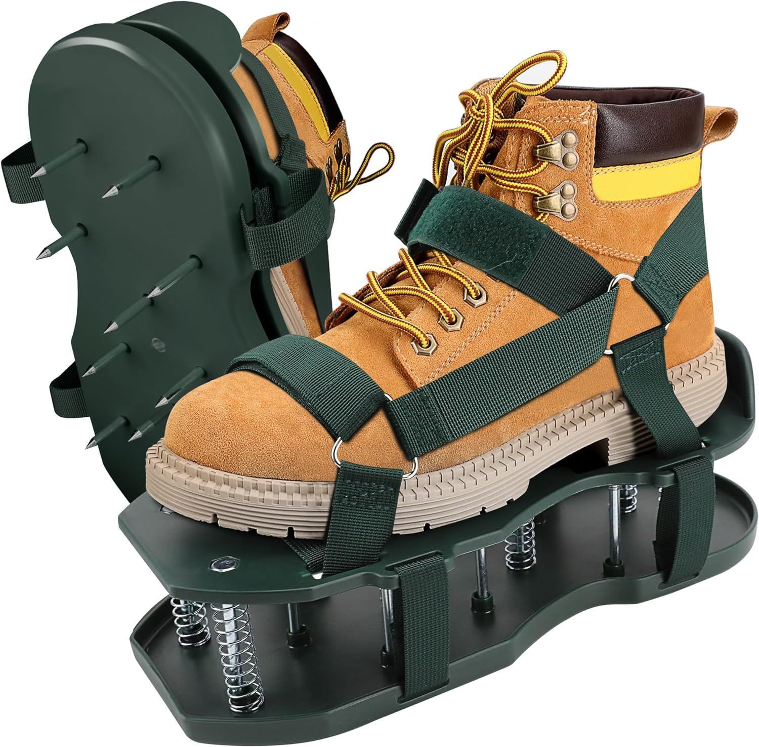 새로운 잔디 스파이크 그린