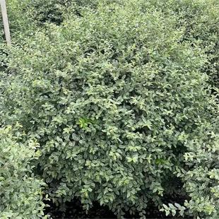 ���~Ůؑ�y��СϞ�������l