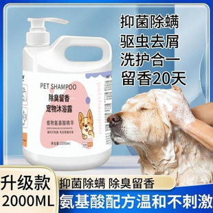 ������Ͱ��ԡ¶�������\���xֹ�W����̩�ϱ��ܽ�ë����ϴ���㲨