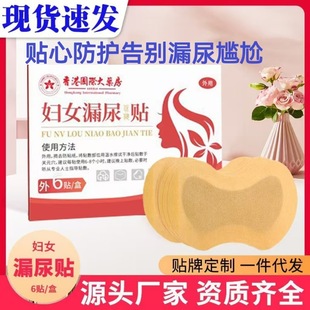 Special Pads for Urinary Leakage, 6 Pieces, Essential for Postpartum Sneezing, Laughing, and Exercise, Wholesale, Essential for Postpartum Recovery