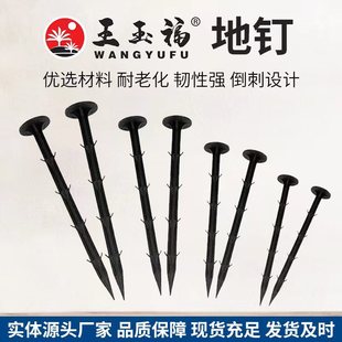 �S�ҹ������ݵز�� �@ˇ�ز�� �@�֑����� ���ϵ��