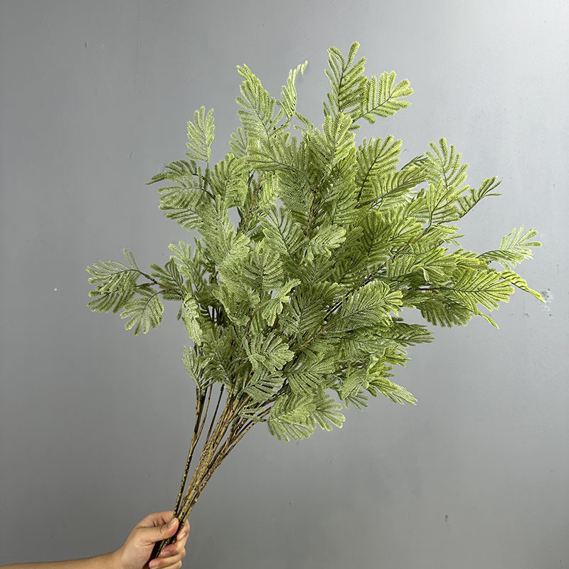 Simulated mimosa gray green green branches and leaves rime simulated…