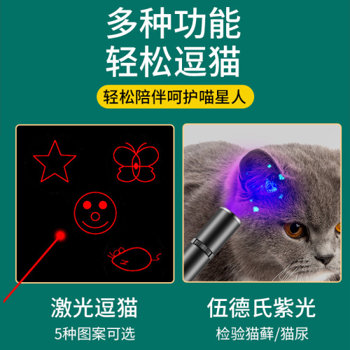 USB Charging Laser Pattern Cat Charmer Flashlight with Wood's Purple Light Detection Lamp Pet Toy Flashlight Amazon