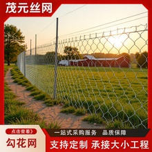镀锌钢丝网勾花铁丝网围栏网养殖网护栏狗牛羊猪菱形不锈防护围网