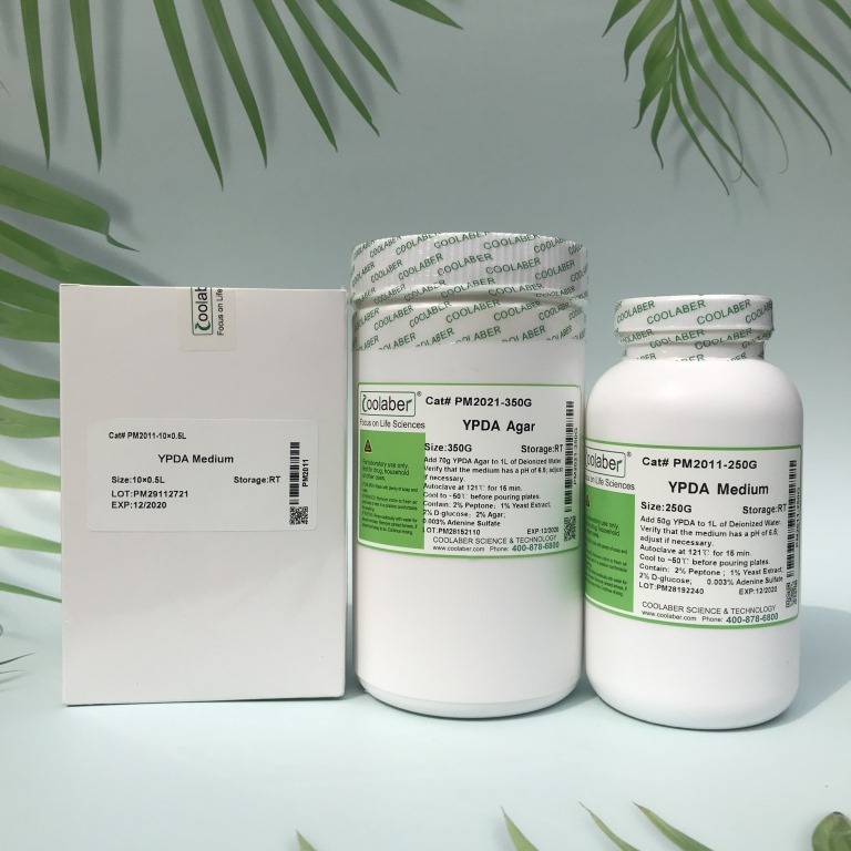 科研用  Minimal SD Agar Base Raf 酵母补充氨基酸