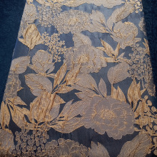 ½zcU ͮLֲﻨ~ɫỨ  SF