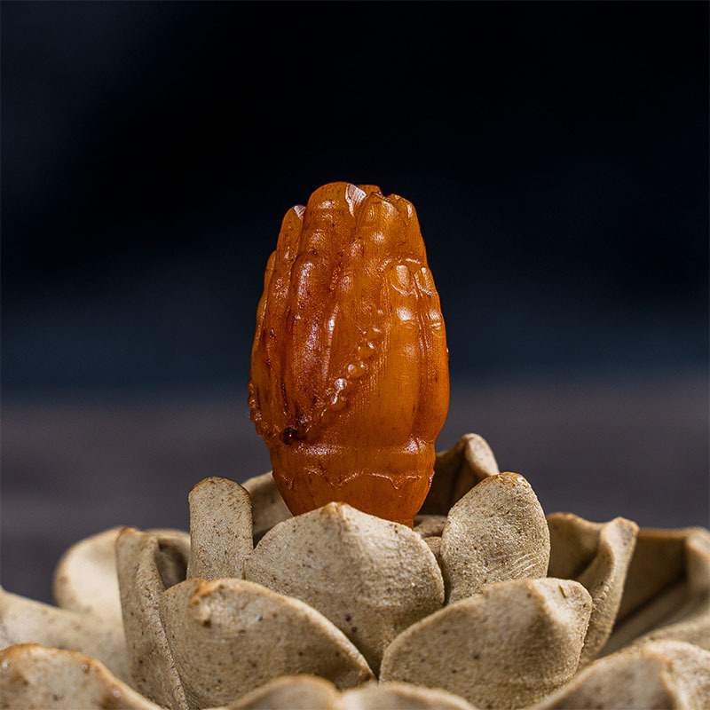 未标题-1_0016_CYH02373