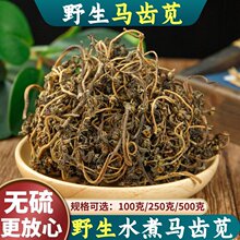 马齿苋中药材马齿笕500g地锦草干货长命菜马齿菜泡茶野菜马齿笕粉