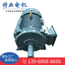 YE3系列卧式三相異步電機 三項異步電動機交流電動馬達可批發