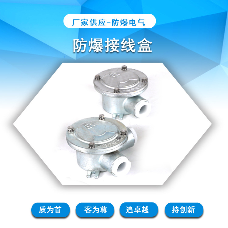 防爆接线盒G3/4DN15一二三四吊通圆形静电防护军工防暴军工级特种