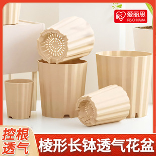 ����˼�����L�������¼���������̨�Ӻ����ϷNֲ������zС����