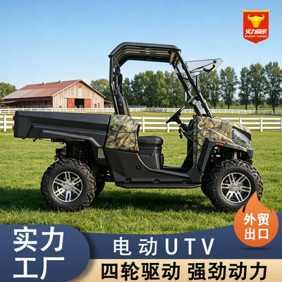 complex terrain, commuting, cargo transport, Elektrikli qolf avtomobilləri