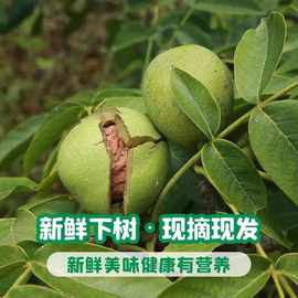 新鲜核桃去青皮核桃薄壳核桃鲜核桃黑桃黑桃零食薄皮核桃跨境电商