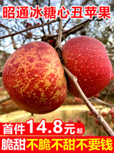 �����ͨ���O���������O��ˮ�����r����10��t¶��ʿ����������]