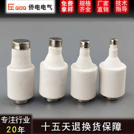 侨电CT-DII螺旋型陶瓷熔断器E27保险丝R021电流2A~30A 500v