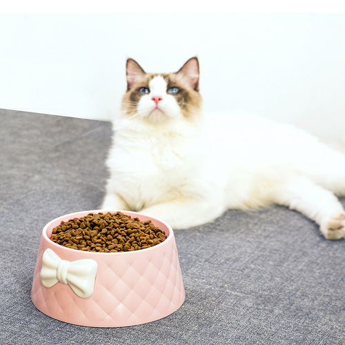Factory direct sales pet dog bowl, food grade plastic pet dog and cat food bowl, bow-shaped dog bowl