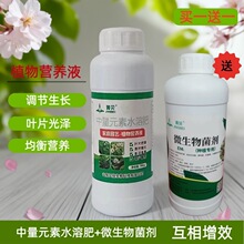 家庭园艺植物水分营养液蔬菜瓜果花卉绿植花促花促果液体水溶