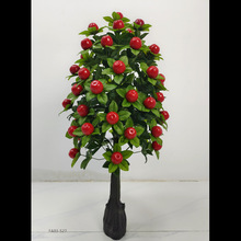 N~ĹʺʯŻGֲԴֲ辰٘