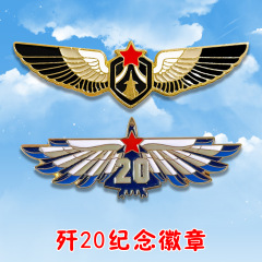 歼20战斗机胸针个性设计领空英雄飞行员纪念金属徽章军迷珠海航展