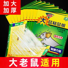 郁康粘大老鼠贴 酒店宾馆室内家用加厚粘鼠板灭鼠物理捕鼠粘鼠板