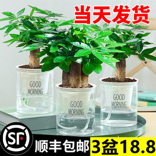 �lؔ��С���Ի��ܾGֲ���k���҃ȸ��ֵ�G�}����ˮ��lؔ����B