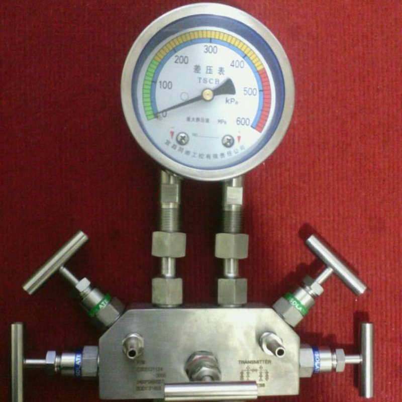 厂家供应不锈钢材质差压表0-160kPa