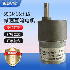 38gm 18永久磁石減速直流モータ