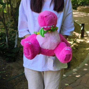Wang Sulong Plush Toy Cute Stuffed Dragon Doll Trendy Dinosaur Girl Gift