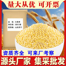 ���S��50��/���Ŵ�S�����׏S�����l��ĥ�������������ìF؛c