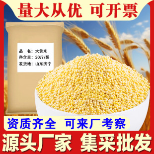 ���S��50��/���Ŵ�S�����׏S�����l��ĥ�������������ìF؛c