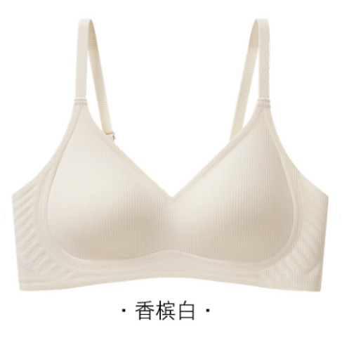 Venta directa de fábrica comercio electrónico transfronterizo Sudeste de Asia Vietnam Tailandia damas soporte superior simple sin costuras colección lateral sujetador